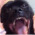 TremsN